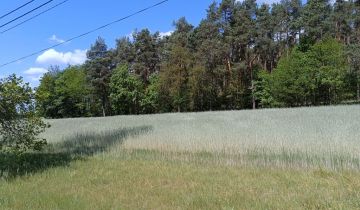 Działka budowlana Zborowskie