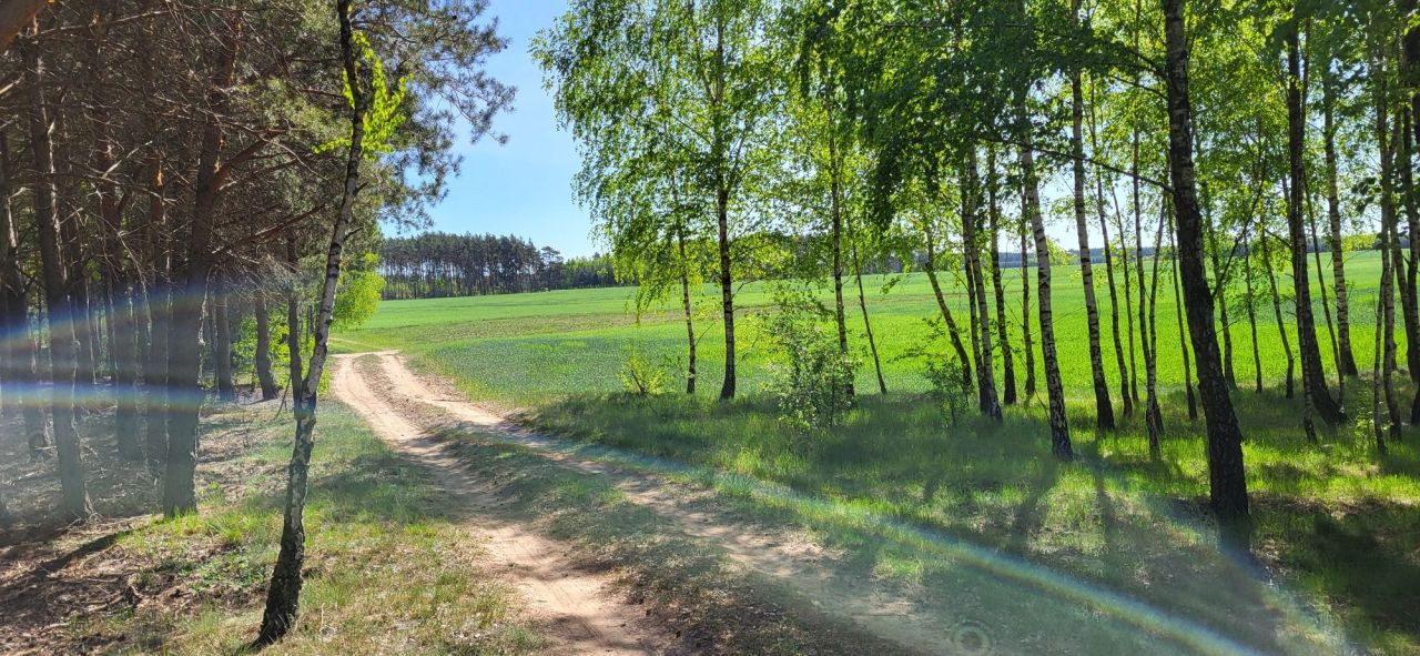 Działka Okalewko. Zdjęcie 6