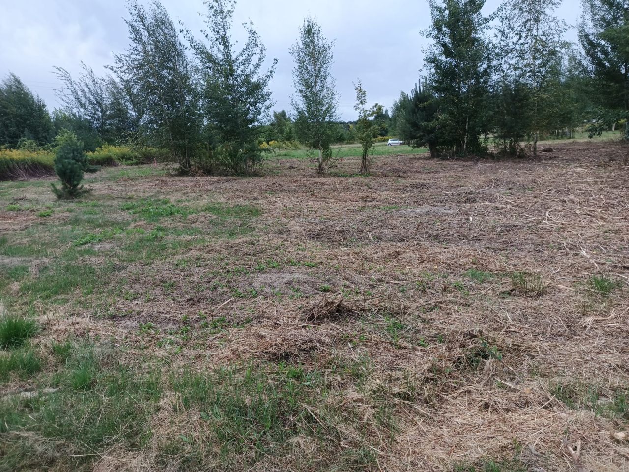 Działka budowlana Osolin, ul. Zielona. Zdjęcie 2