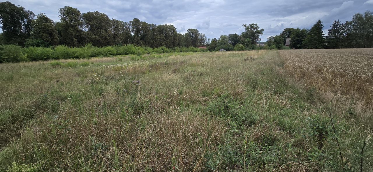 Działka rolna Krzymów. Zdjęcie 7