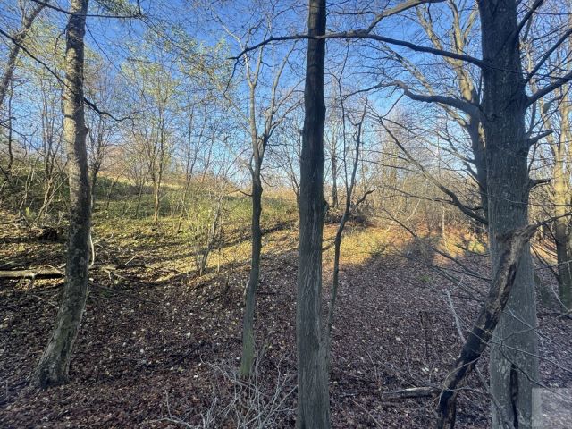 Działka leśna Przemyśl Kruhel Wielki, ul. Łowiecka. Zdjęcie 10