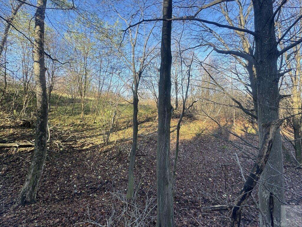 Działka leśna Przemyśl Kruhel Wielki, ul. Łowiecka. Zdjęcie 10
