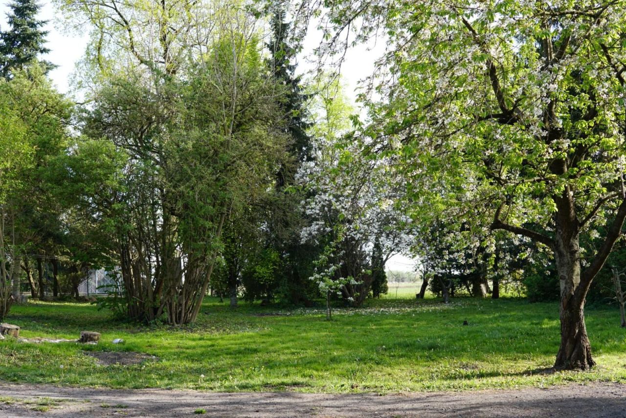 gospodarstwo Jezioro. Zdjęcie 7