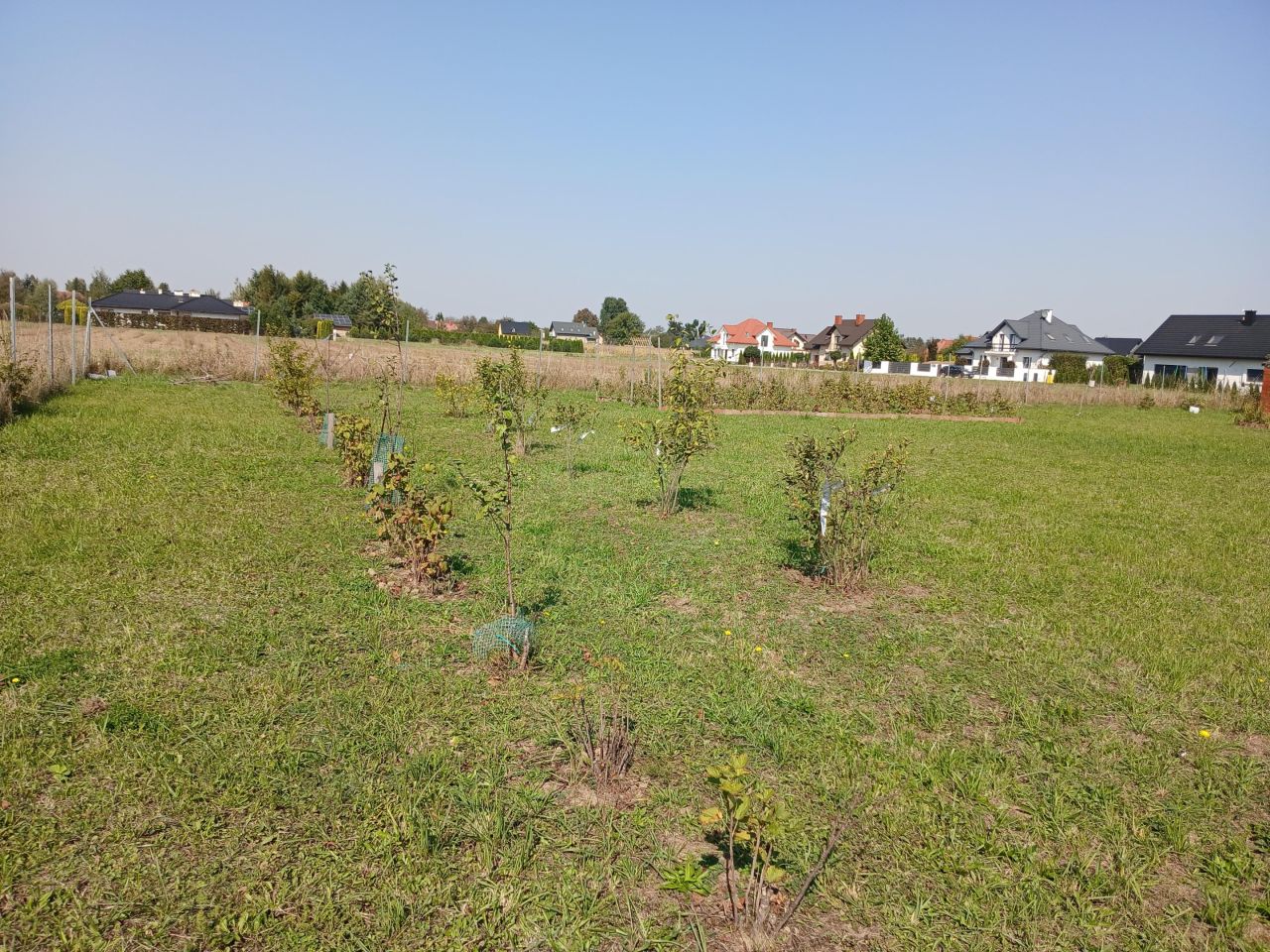 Działka budowlana Koniaczów. Zdjęcie 2