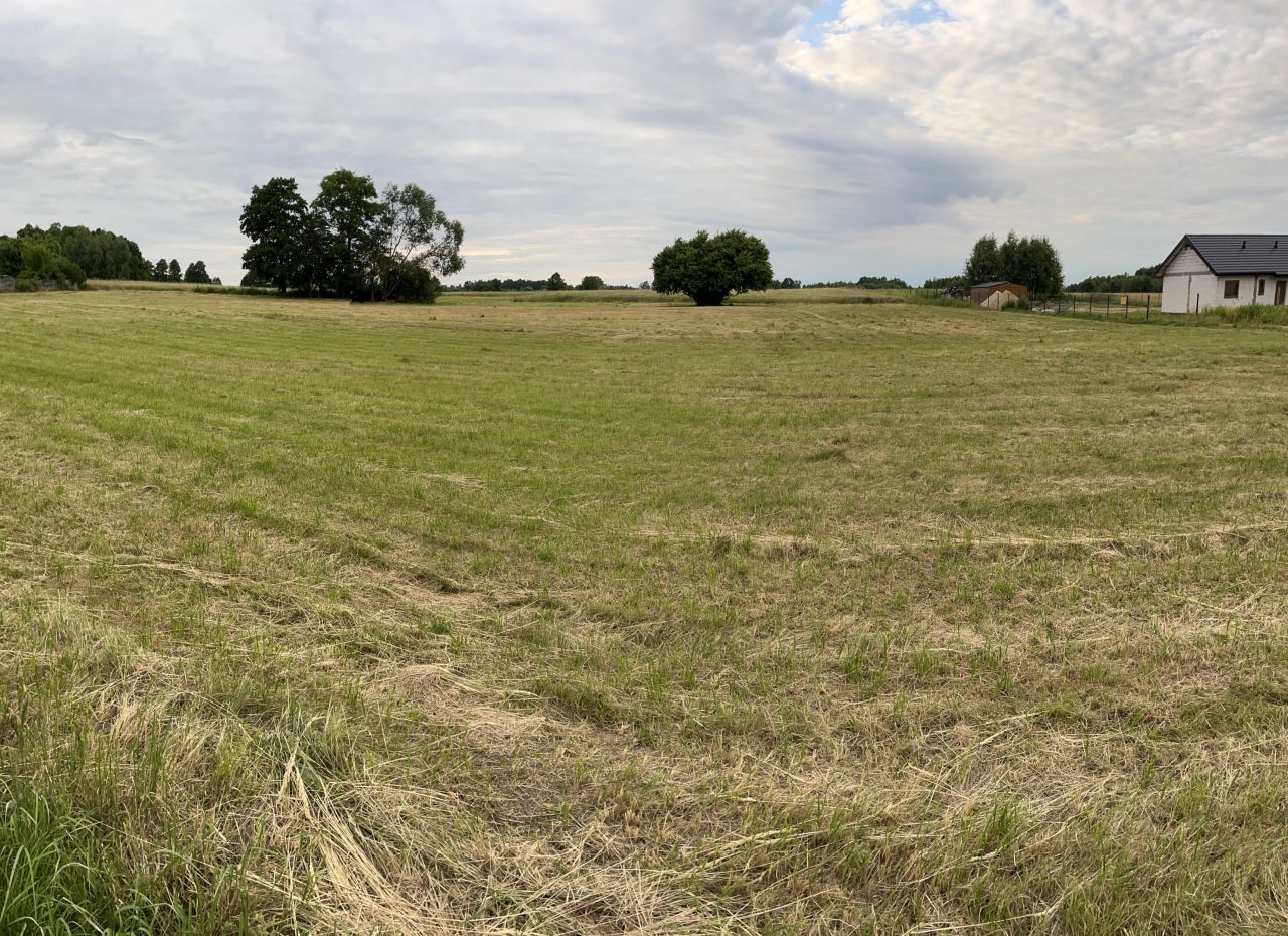 Działka rolno-budowlana Koclin, ul. Wrzosowa