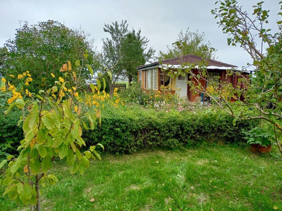 Działka rod Gdańsk Rębiechowo. Zdjęcie 6