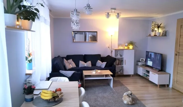 Mieszkanie 2-pokojowe Kołdowo