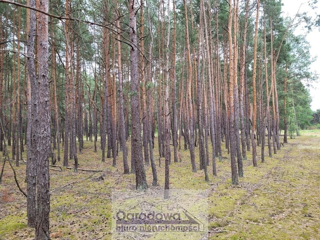 Działka rekreacyjna Popowo-Letnisko. Zdjęcie 1