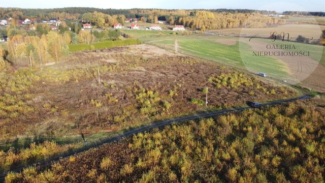 Działka Tomaszkowo. Zdjęcie 6