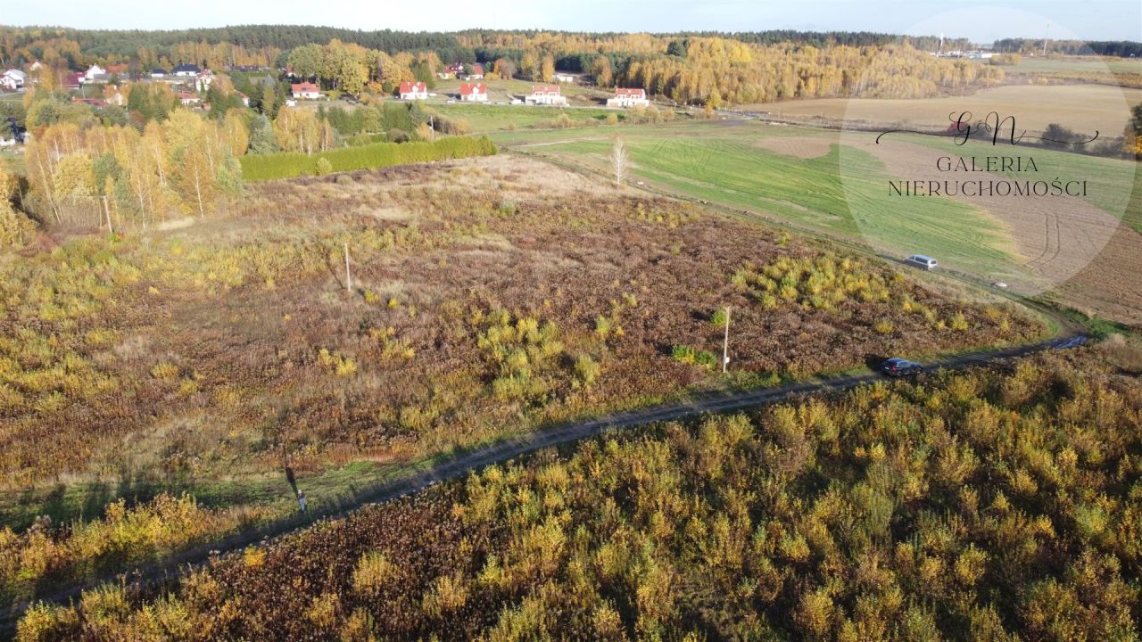 Działka Tomaszkowo. Zdjęcie 6