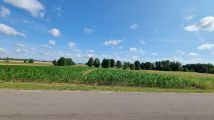 Działka rolno-budowlana Teodorów. Zdjęcie 3