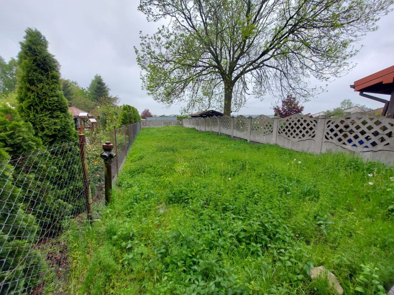 Lokal Fabianki. Zdjęcie 8