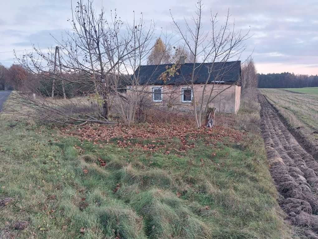 dom wolnostojący Pałki. Zdjęcie 6