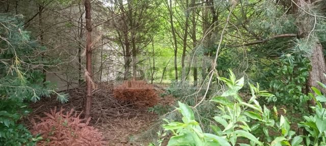 Działka budowlana Stara Wieś. Zdjęcie 1