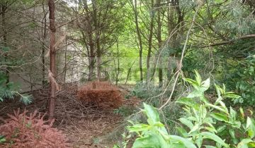 Działka budowlana Stara Wieś