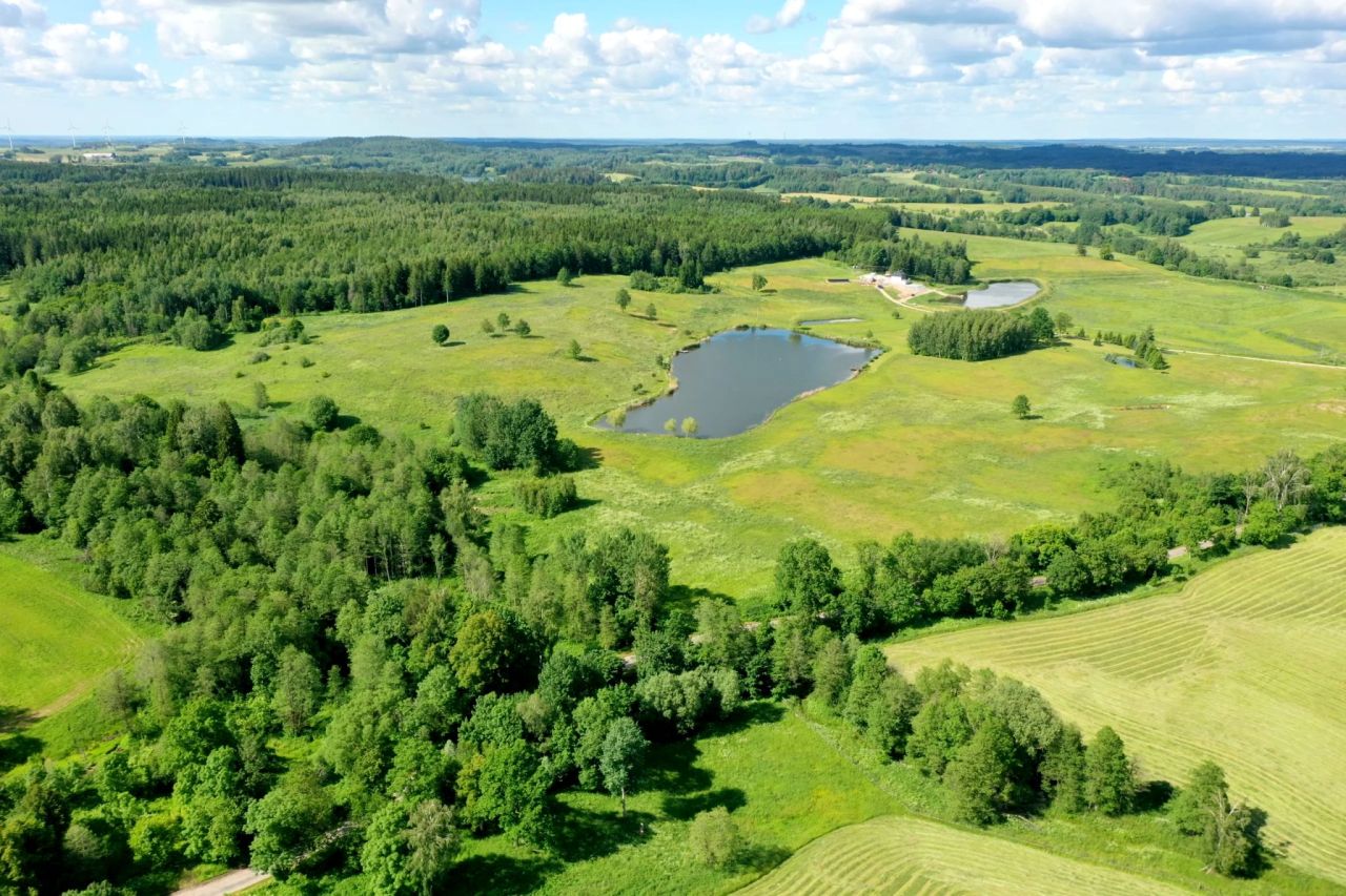 dom wolnostojący, 4 pokoje Kamionki. Zdjęcie 10
