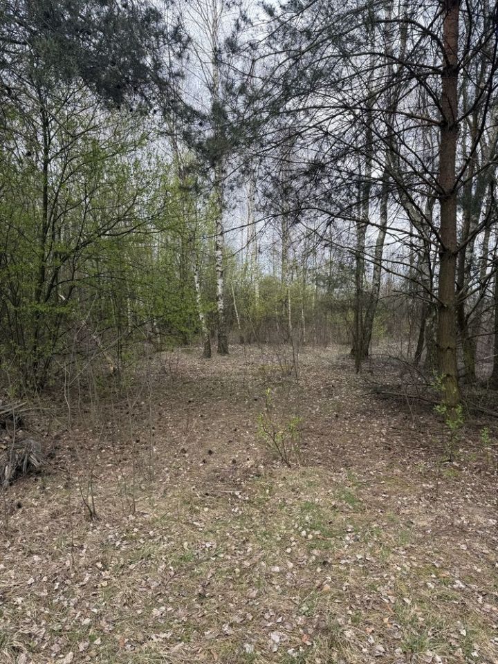 Działka budowlana Kownaciska. Zdjęcie 2