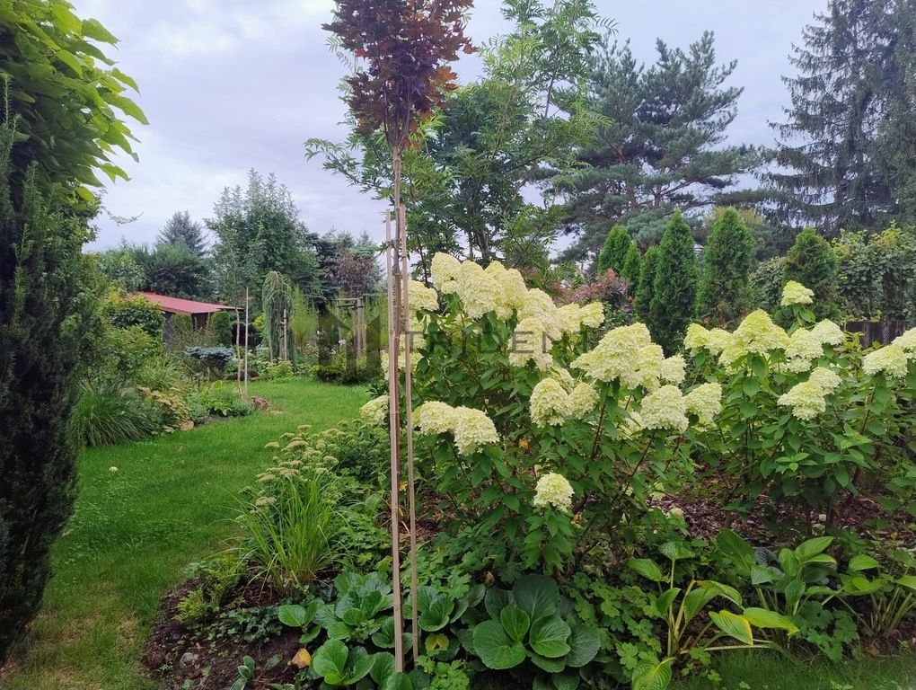Działka rod Walendów. Zdjęcie 24