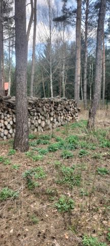 dom letniskowy, 4 pokoje Młynarze, ul. Wczasowa róg żagli. Zdjęcie 29