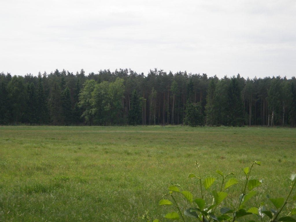 Działka budowlana Ostrowin. Zdjęcie 4
