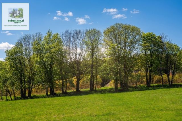 Działka inwestycyjna Duszniki-Zdrój Zieleniec, ul. Zieleniec. Zdjęcie 4
