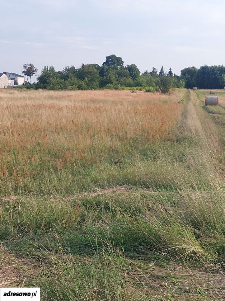 dom wolnostojący, 2 pokoje Sieroszewice, ul. Ostrowska. Zdjęcie 5