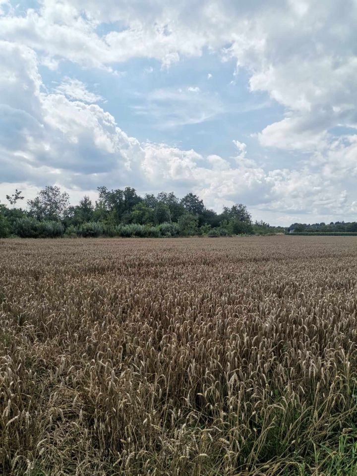 Działka budowlana Jarosław Dolnoleżajskie, ul. Burmistrza Jerzego Matusza. Zdjęcie 3