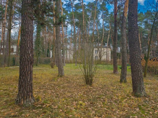 dom wolnostojący, 4 pokoje Podkowa Leśna. Zdjęcie 35