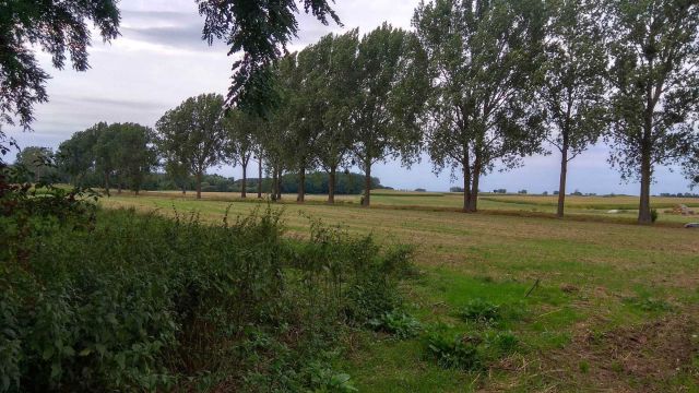 Działka rolna Skrzetusz. Zdjęcie 1