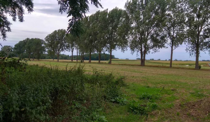 Działka rolna Skrzetusz