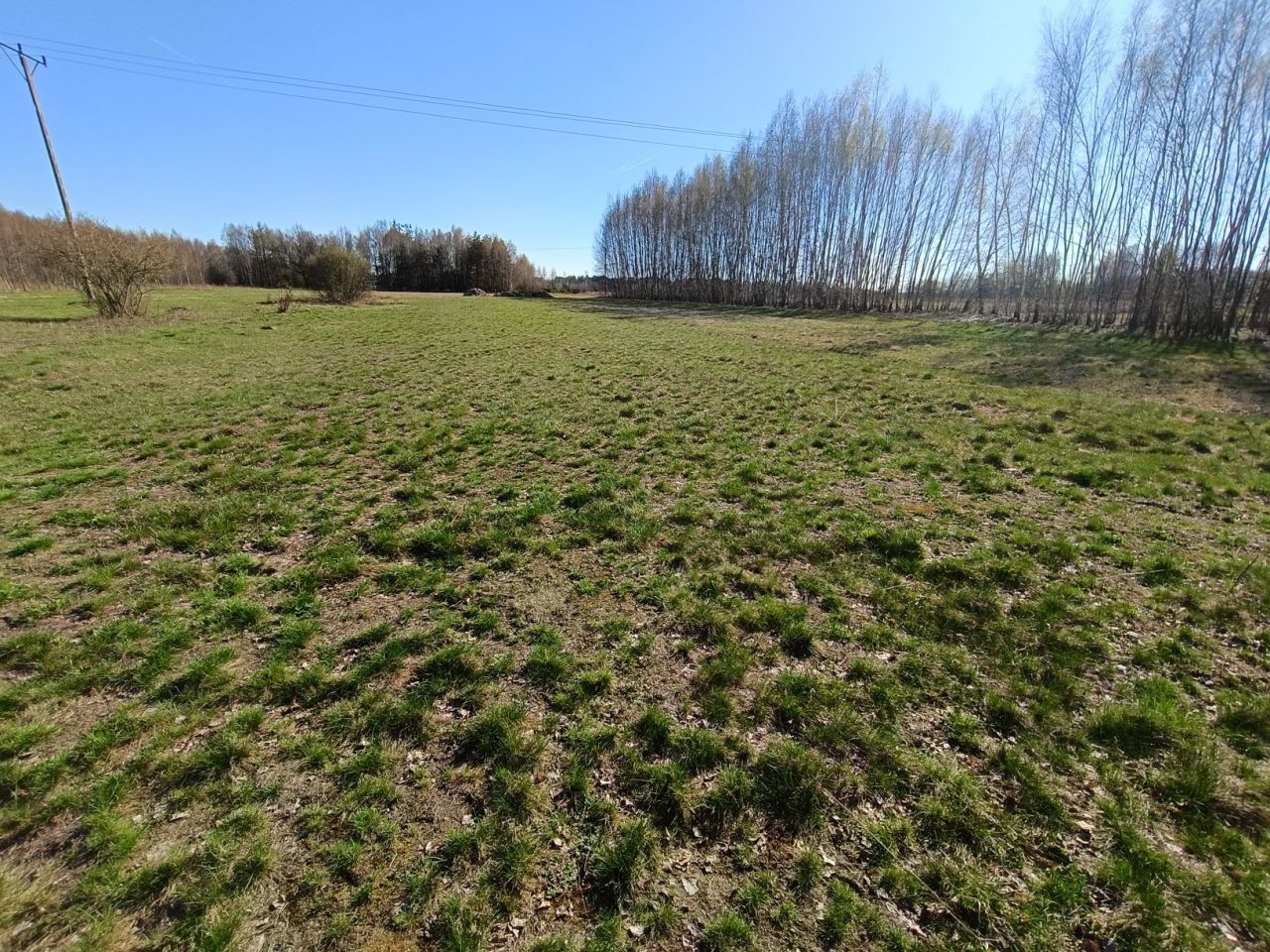 Działka budowlana Widełka. Zdjęcie 6