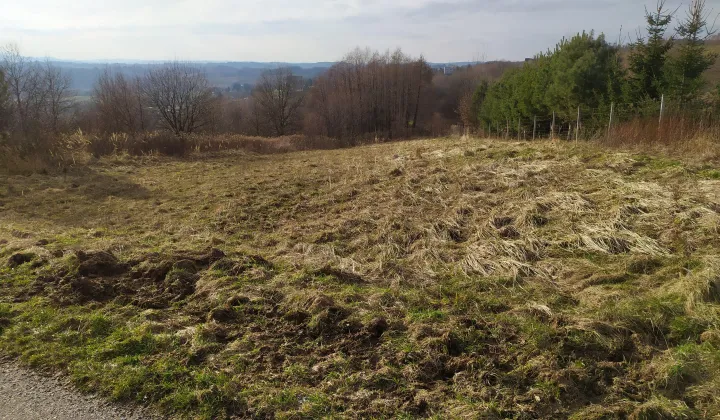 Działka budowlana Jaworsko Granice