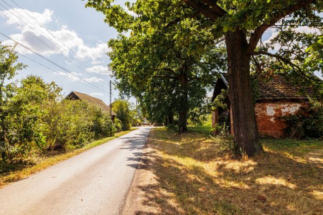 Działka budowlana Dąbrówki Breńskie. Zdjęcie 13