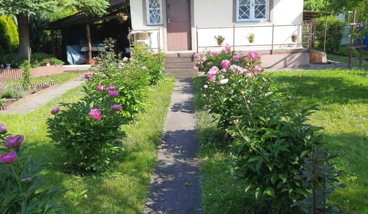 Działka rod Kraków Dębniki