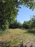 Działka budowlana Płocin. Zdjęcie 3