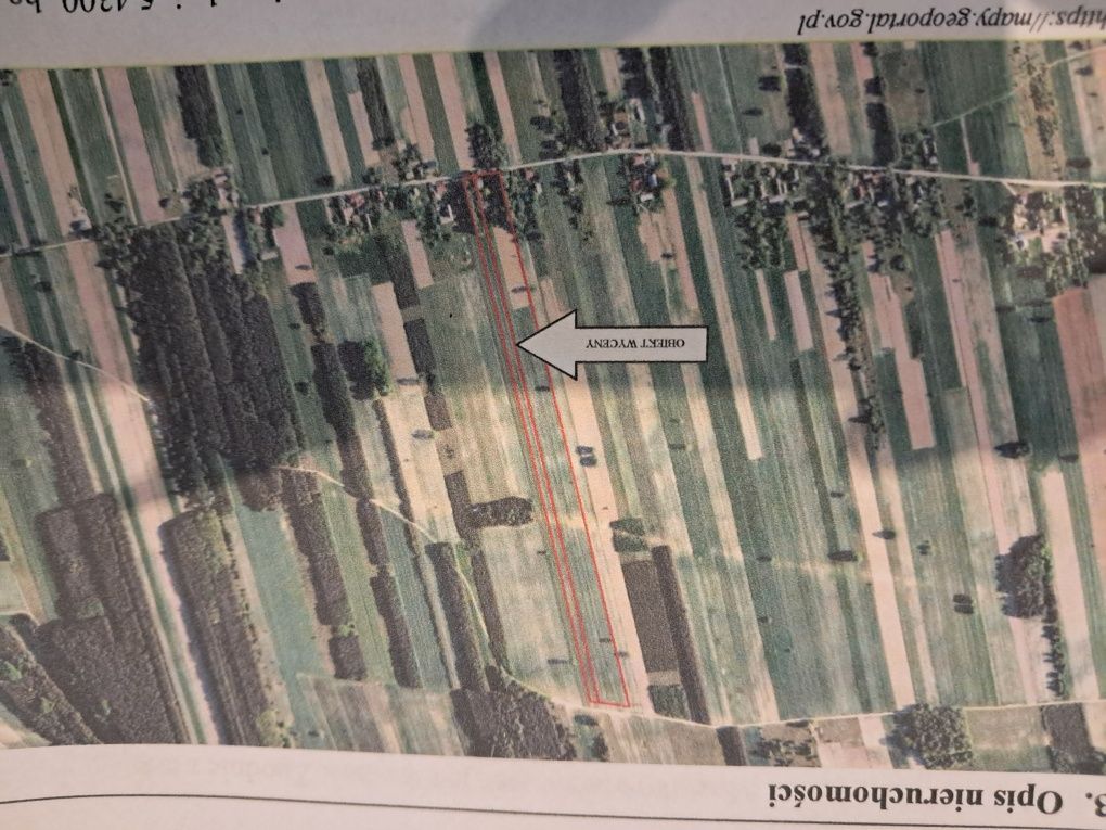 Działka rolno-budowlana Stanisławów Duży. Zdjęcie 8