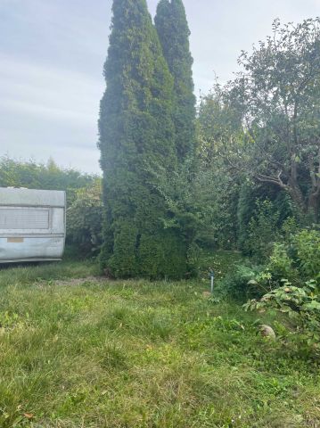 Działka rod Toruń Rudak. Zdjęcie 1