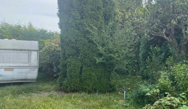 Działka rod Toruń Rudak