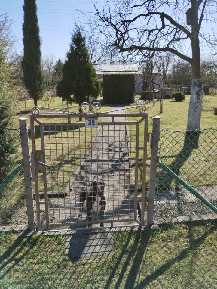 Działka rod Gliwice, ul. Toszecka. Zdjęcie 2