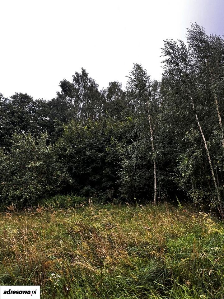 Działka rolno-budowlana Stręgielek. Zdjęcie 10