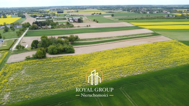 Działka siedliskowa Płouszowice-Kolonia. Zdjęcie 5