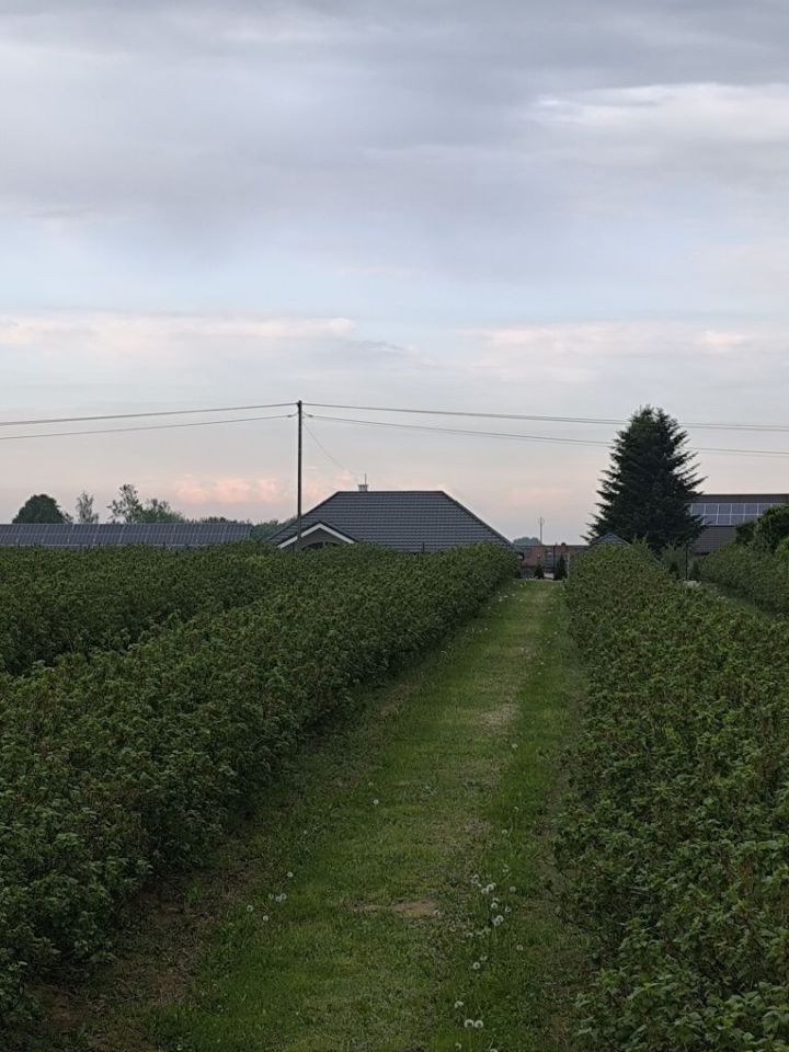 Działka rolno-budowlana Miłocin. Zdjęcie 3
