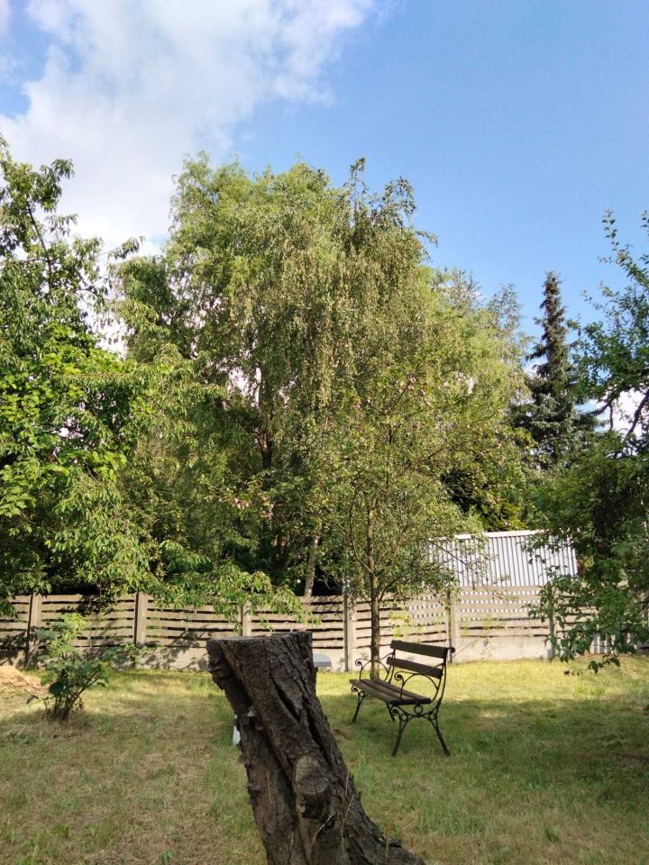 dom wolnostojący Mysłowice. Zdjęcie 6