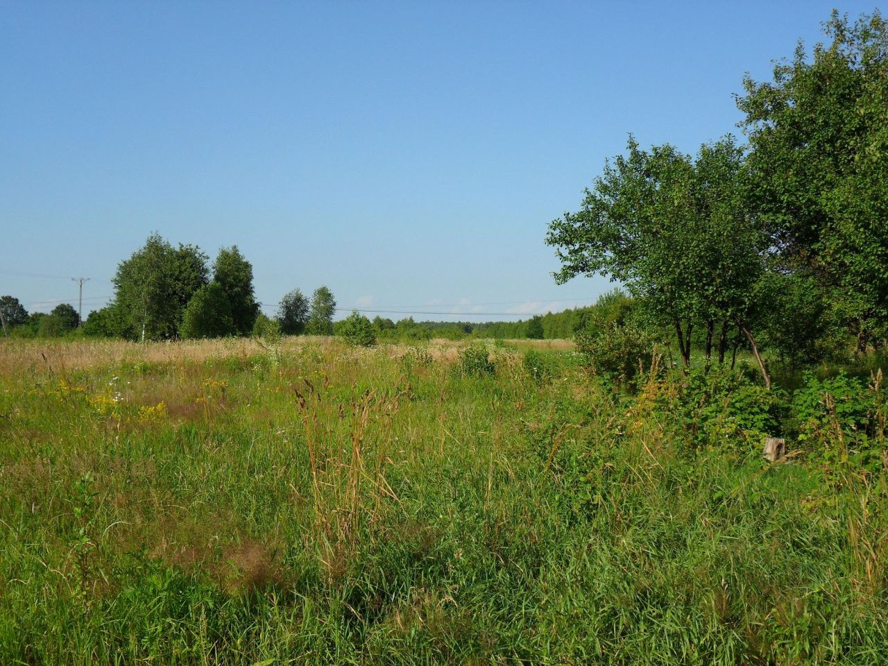 Działka inwestycyjna Łuków, ul. Stefana Okrzei. Zdjęcie 3