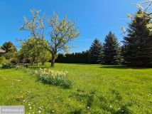 Działka budowlana Bogucin. Zdjęcie 2