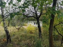 Działka rod Łódź Górna, ul. Telefoniczna