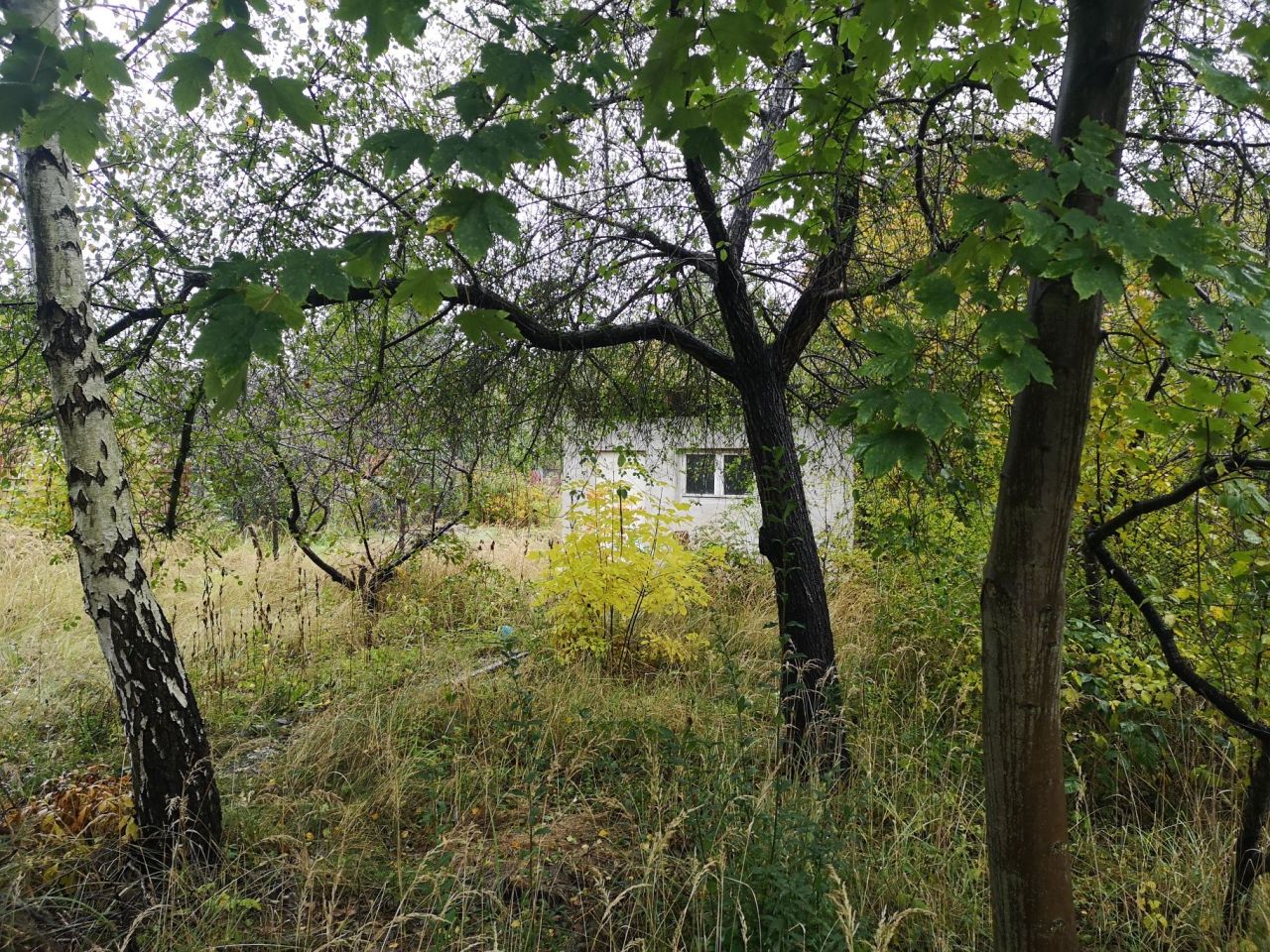 Działka rod Łódź Górna, ul. Telefoniczna