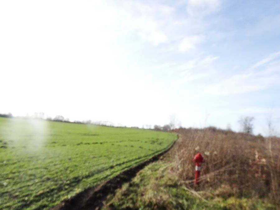 Działka budowlana Stara Dąbrowa. Zdjęcie 29