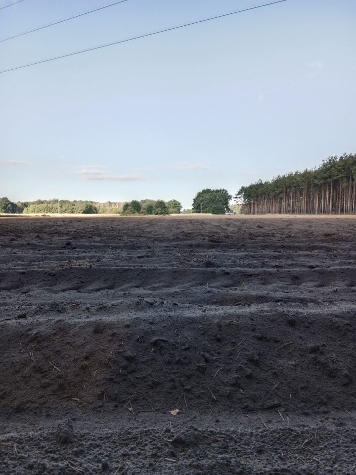 Działka rolna Nowy Kozłów Pierwszy. Zdjęcie 5