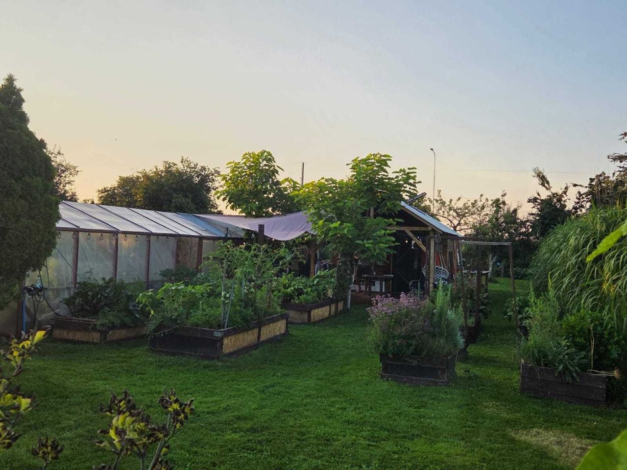 Działka rod Baranów. Zdjęcie 1